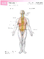 Sobotta Atlas of Human Anatomy  Head,Neck,Upper Limb Volume1 2006, page 35